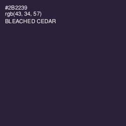 #2B2239 - Bleached Cedar Color Image
